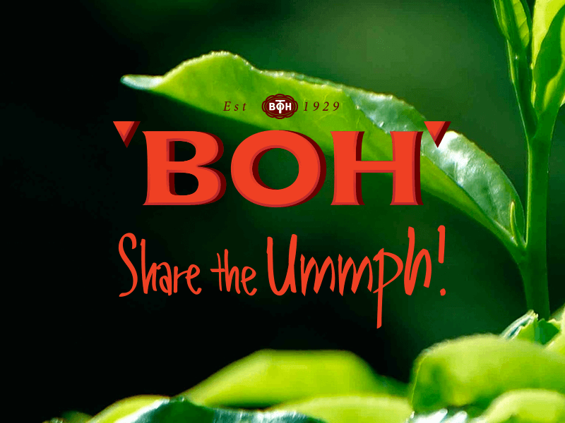 Boh Tea